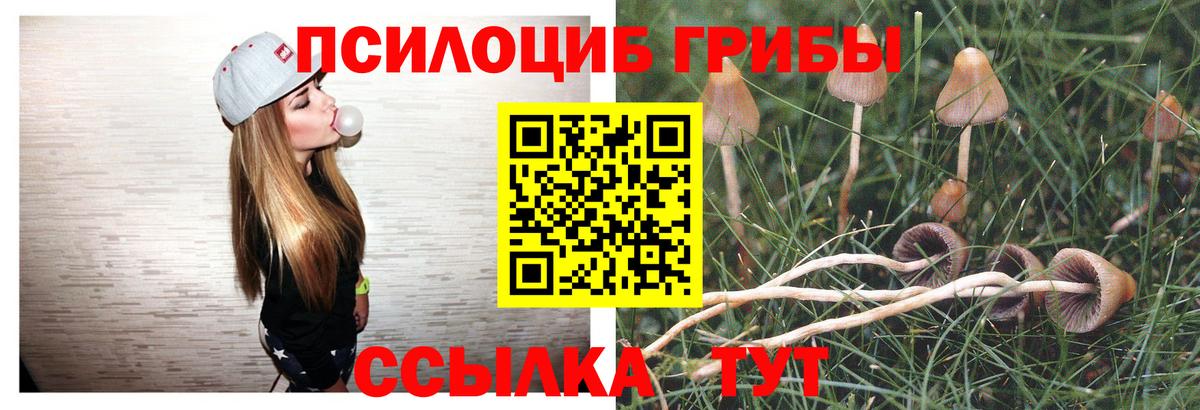 Галлюциногенные грибы ЛСД  Вход с VPN  Орёл  Галлюциногенные грибы мухоморы 